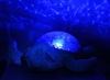 Image sur Veilleuse, Tranquil Turtle